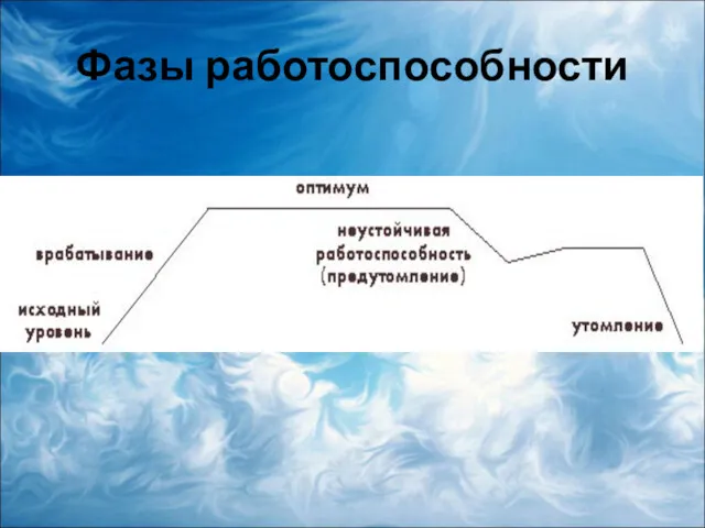 Фазы работоспособности