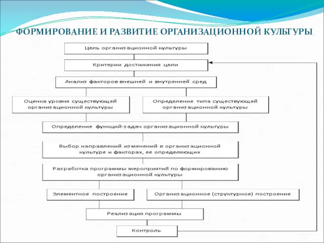 ФОРМИРОВАНИЕ И РАЗВИТИЕ ОРГАНИЗАЦИОННОЙ КУЛЬТУРЫ