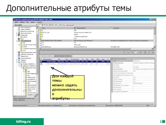 Дополнительные атрибуты темы Для каждой темы можно задать дополнительные атрибуты