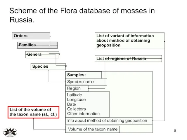 List of the volume of the taxon name (sl., cf.)