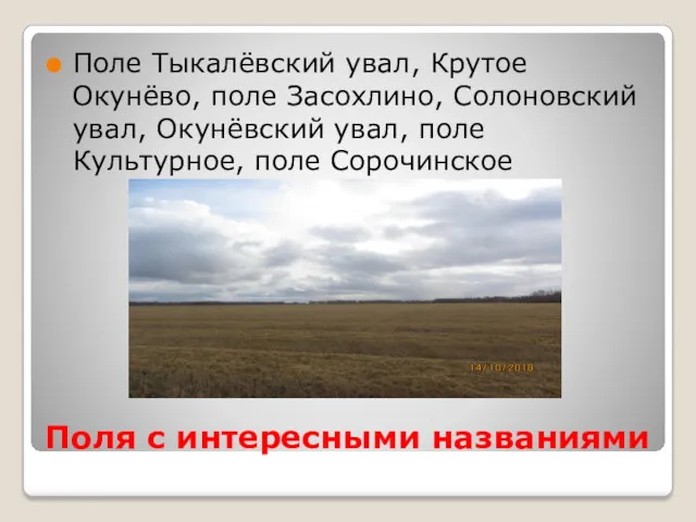 Поля с интересными названиями Поле Тыкалёвский увал, Крутое Окунёво, поле