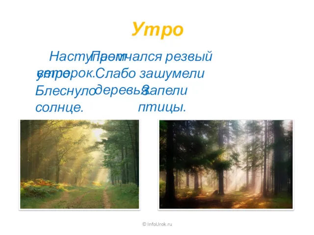 Промчался резвый ветерок. Утро © InfoUrok.ru Наступает утро. Слабо зашумели деревья. Блеснуло солнце. Запели птицы.