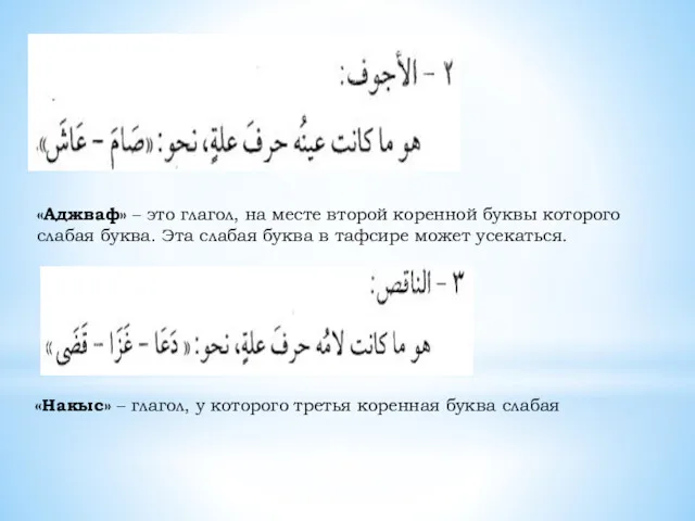 «Аджваф» – это глагол, на месте второй коренной буквы которого