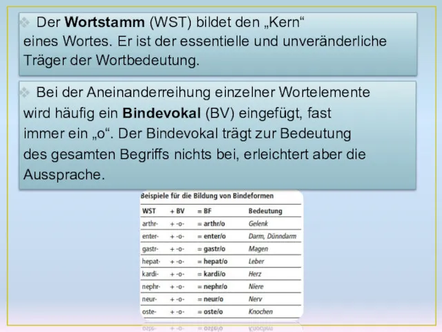 Der Wortstamm (WST) bildet den „Kern“ eines Wortes. Er ist