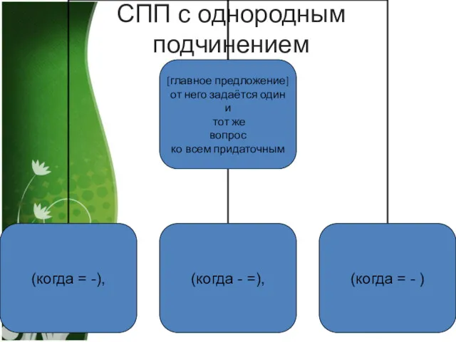 СПП с однородным подчинением