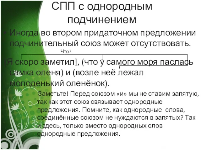 СПП с однородным подчинением Иногда во втором придаточном предложении подчинительный