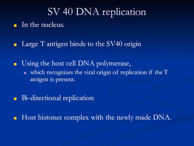 SV 40 DNA replication In the nucleus. Large T antigen