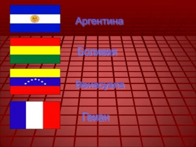 Аргентина Боливия Венесуэла Гвиан
