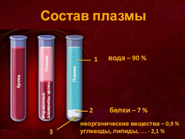 Состав плазмы 1 2 3 вода – 90 % белки