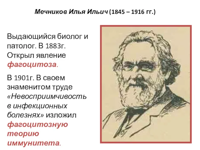 Мечников Илья Ильич (1845 – 1916 гг.) Выдающийся биолог и