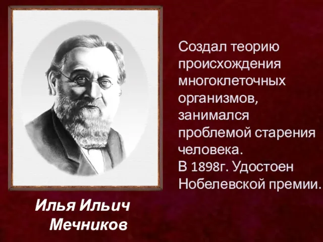 Создал теорию происхождения многоклеточных организмов, занимался проблемой старения человека. В