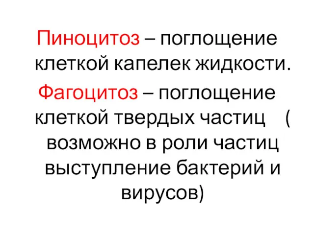 Пиноцитоз – поглощение клеткой капелек жидкости. Фагоцитоз – поглощение клеткой