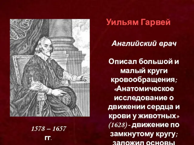 1578 – 1657 гг. Уильям Гарвей Английский врач Описал большой