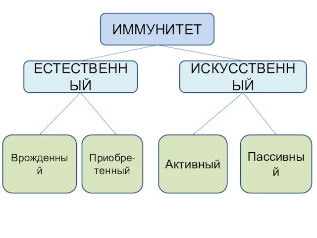 ИММУНИТЕТ ЕСТЕСТВЕННЫЙ ИСКУССТВЕННЫЙ Приобре- тенный Врожденный Активный Пассивный