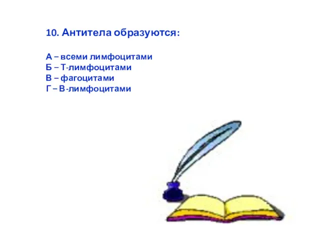 10. Антитела образуются: А – всеми лимфоцитами Б – Т-лимфоцитами В – фагоцитами Г – В-лимфоцитами