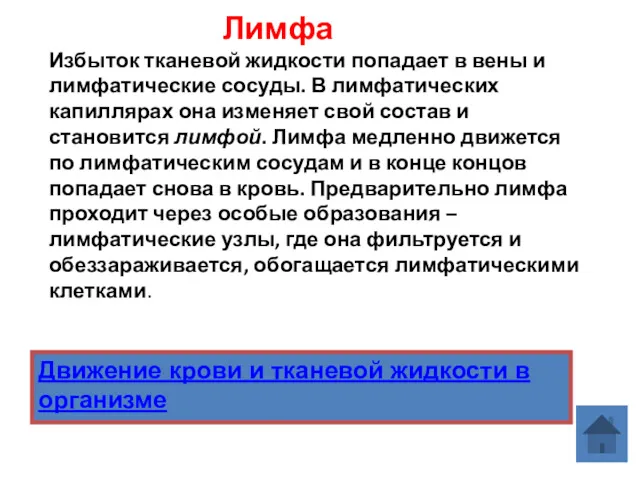 Лимфа Избыток тканевой жидкости попадает в вены и лимфатические сосуды.