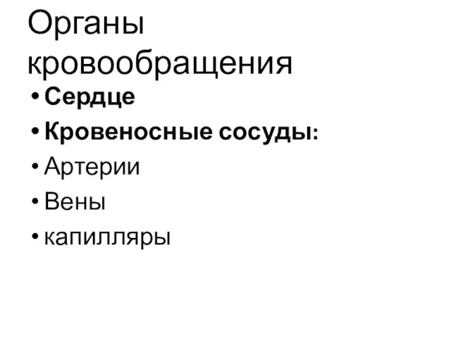 Органы кровообращения Сердце Кровеносные сосуды: Артерии Вены капилляры