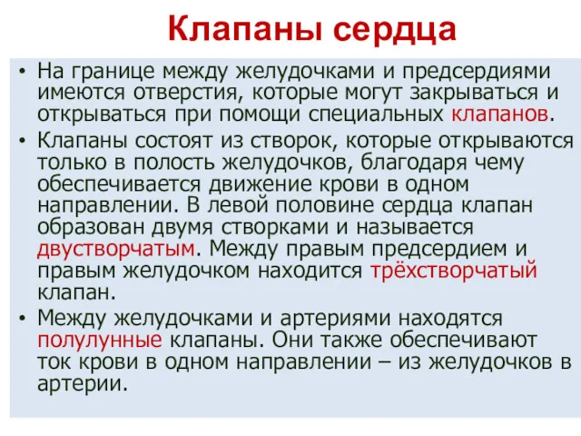 Клапаны сердца На границе между желудочками и предсердиями имеются отверстия,