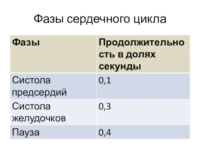 Фазы сердечного цикла