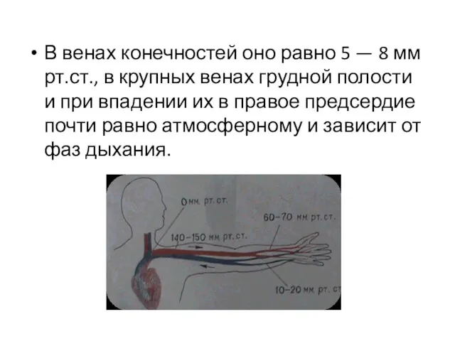 В венах конечностей оно равно 5 — 8 мм рт.ст.,