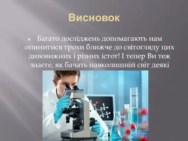 Висновок Багато досліджень допомагають нам опинитися трохи ближче до світогляду