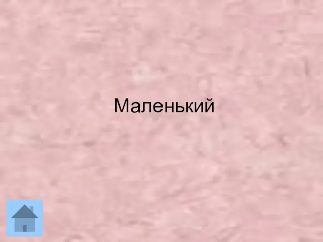 Маленький