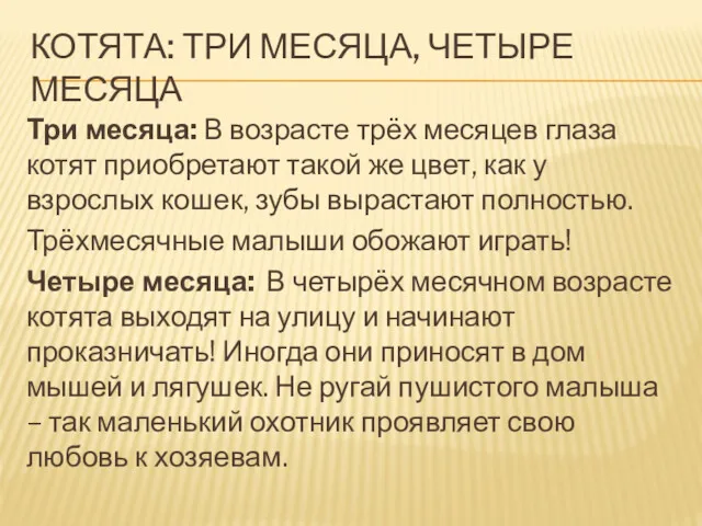 КОТЯТА: ТРИ МЕСЯЦА, ЧЕТЫРЕ МЕСЯЦА Три месяца: В возрасте трёх