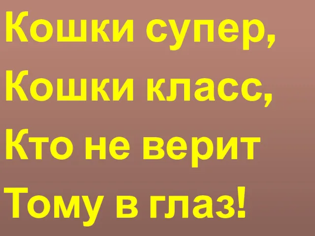 Кошки супер, Кошки класс, Кто не верит Тому в глаз!