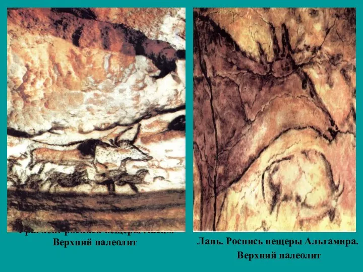Фрагмент росписи пещеры Ласко. Верхний палеолит Лань. Роспись пещеры Альтамира. Верхний палеолит