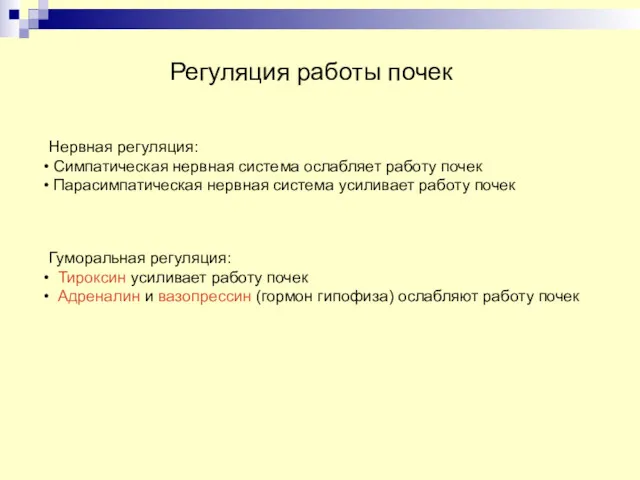 Регуляция работы почек Нервная регуляция: Симпатическая нервная система ослабляет работу