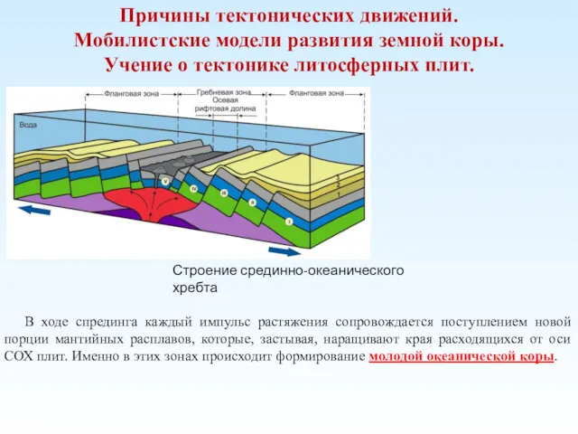 Причины тектонических движений. Мобилистские модели развития земной коры. Учение о