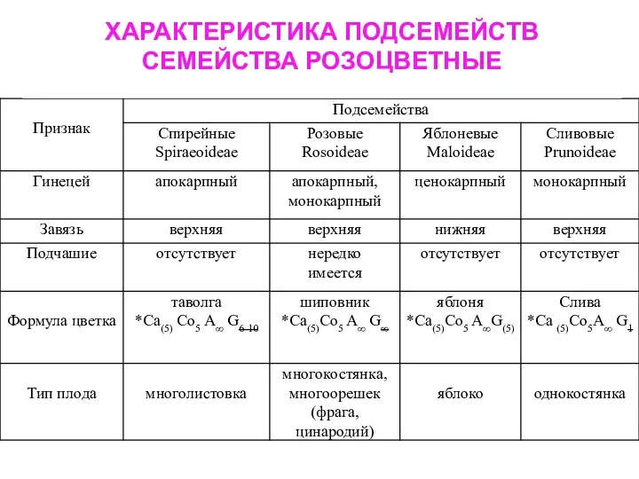 ХАРАКТЕРИСТИКА ПОДСЕМЕЙСТВ СЕМЕЙСТВА РОЗОЦВЕТНЫЕ