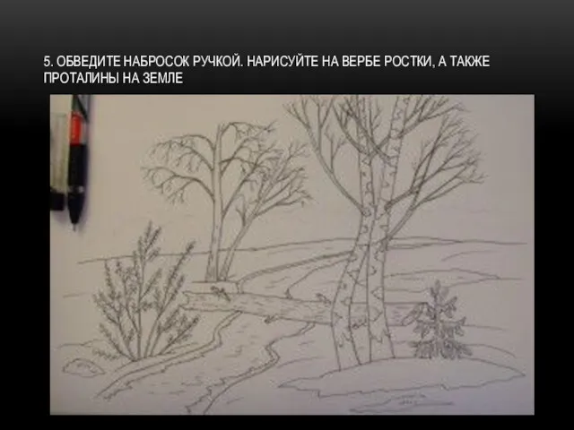 5. ОБВЕДИТЕ НАБРОСОК РУЧКОЙ. НАРИСУЙТЕ НА ВЕРБЕ РОСТКИ, А ТАКЖЕ ПРОТАЛИНЫ НА ЗЕМЛЕ