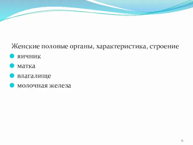 Женские половые органы, характеристика, строение яичник матка влагалище молочная железа