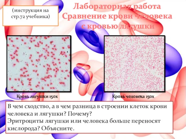 Лабораторная работа Сравнение крови человека с кровью лягушки Кровь лягушки