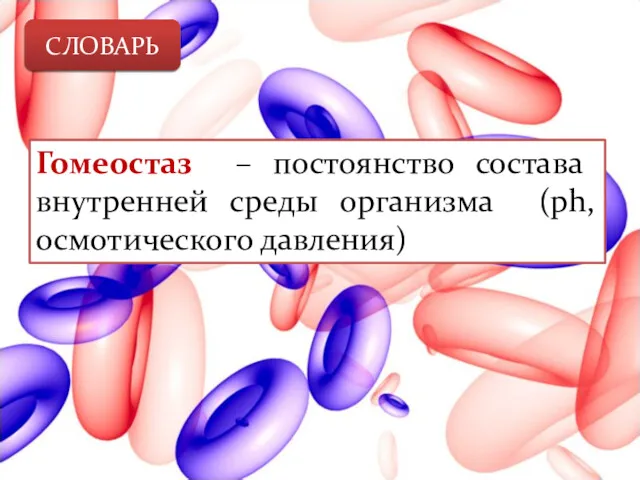 СЛОВАРЬ Гомеостаз – постоянство состава внутренней среды организма (ph, осмотического давления)