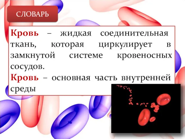 СЛОВАРЬ Кровь – жидкая соединительная ткань, которая циркулирует в замкнутой