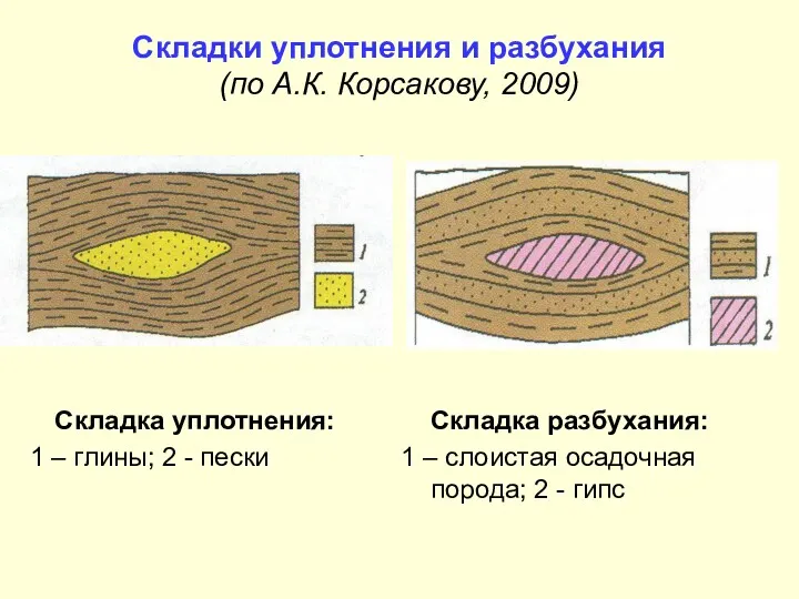 Складки уплотнения и разбухания (по А.К. Корсакову, 2009) Складка уплотнения: