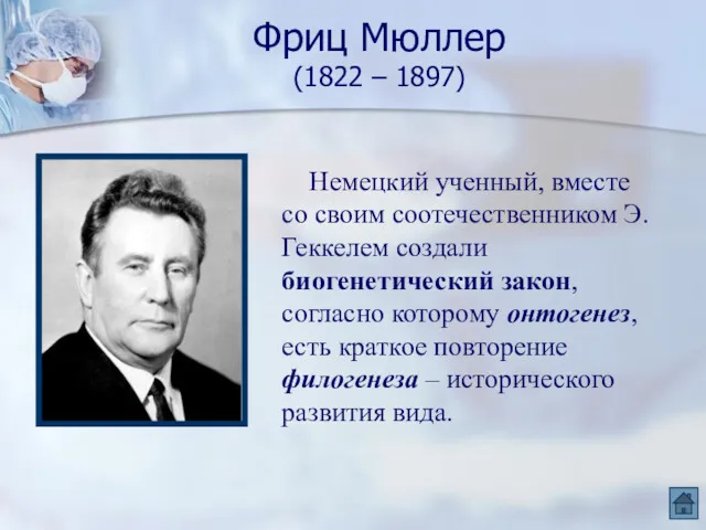 Фриц Мюллер (1822 – 1897) Немецкий ученный, вместе со своим