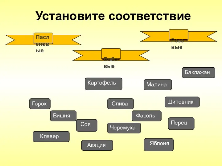 Фасоль Вишня Картофель Горох Баклажан Черемуха Слива Яблоня Перец Шиповник