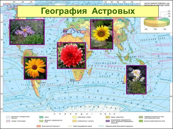 География Астровых