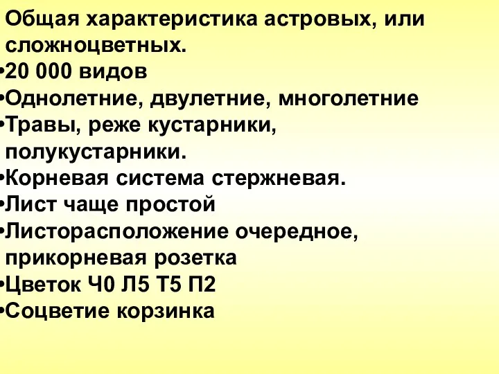 Общая характеристика астровых, или сложноцветных. 20 000 видов Однолетние, двулетние,