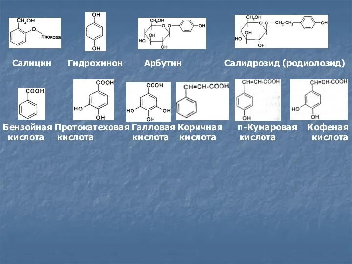 Салицин Гидрохинон Арбутин Салидрозид (родиолозид) Бензойная Протокатеховая Галловая Коричная п-Кумаровая