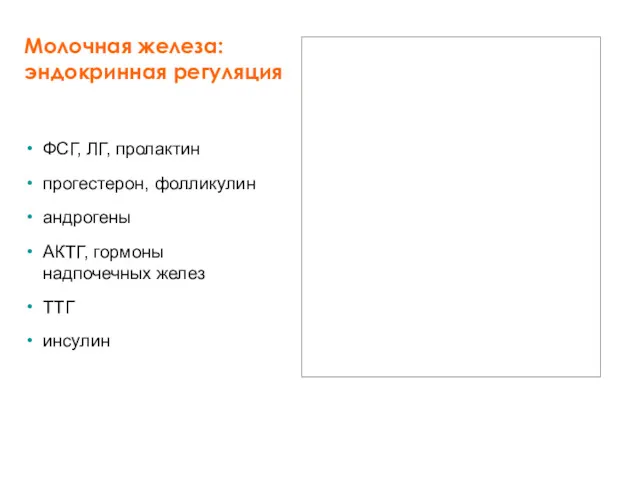 Молочная железа: эндокринная регуляция ФСГ, ЛГ, пролактин прогестерон, фолликулин андрогены АКТГ, гормоны надпочечных желез ТТГ инсулин