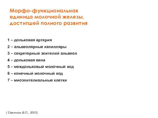 1 – дольковая артерия 2 – альвеолярные капилляры 3 –