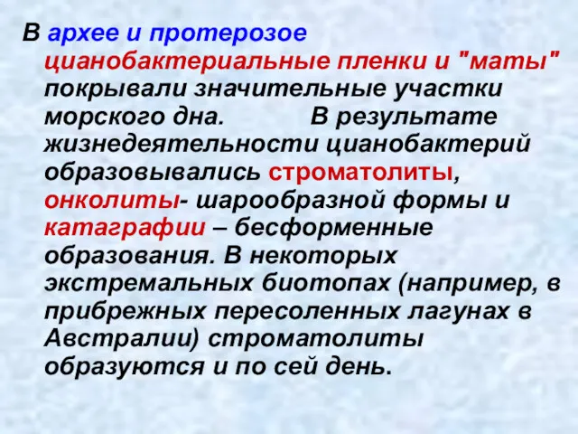 В архее и протерозое цианобактериальные пленки и "маты" покрывали значительные