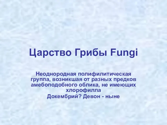 Царство Грибы Fungi Неоднородная полифилитическая группа, возникшая от разных предков