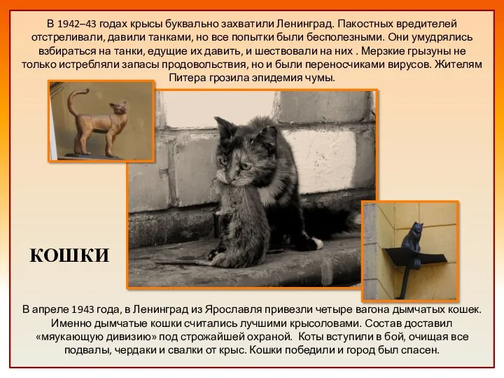 КОШКИ В 1942–43 годах крысы буквально захватили Ленинград. Пакостных вредителей
