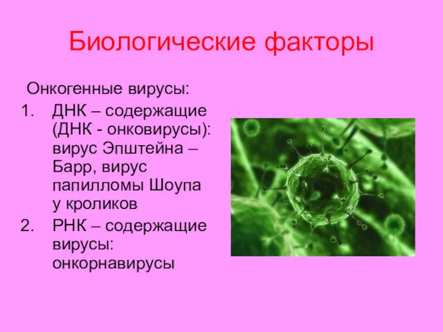 Биологические факторы Онкогенные вирусы: ДНК – содержащие (ДНК - онковирусы): вирус Эпштейна –