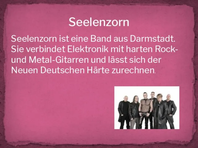 Seelenzorn Seelenzorn ist eine Band aus Darmstadt. Sie verbindet Elektronik mit harten Rock-